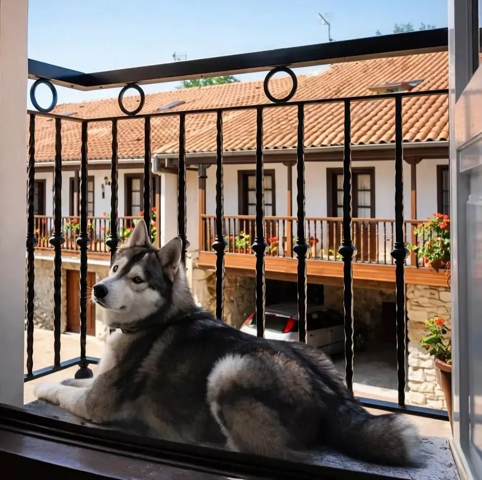 Perro descansando en el balc&oacute;n de una habitaci&oacute;n del Hotel Rural Las Solanas de Escalante, un hotel dog friendly en Cantabria