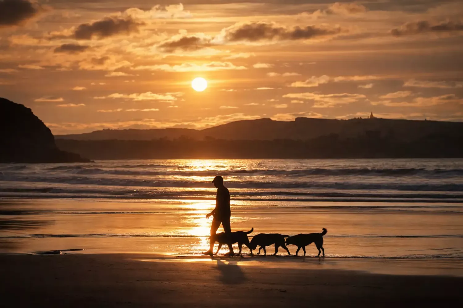 Paseo al atardecer con perros en la Playa de Berria, en Santo&ntilde;a, una experiencia habitual al viajar con mascotas por Cantabria.